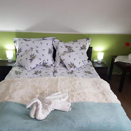E&S_ Apartament Milicz Kültér fotó